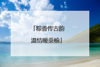 粽香传古韵 温情暖桑榆